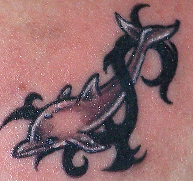 tatouage dauphin